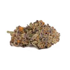 Pink Sugar Cane