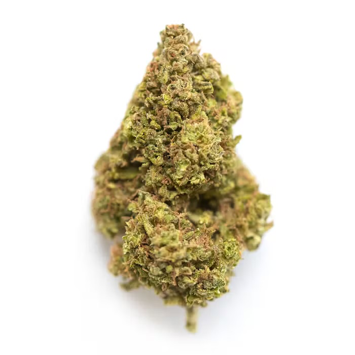 Cactus Breath